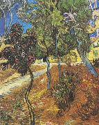 Vincent Van Gogh Trees in the garden of the Hospital Saint-Paul Sweden oil painting artist
